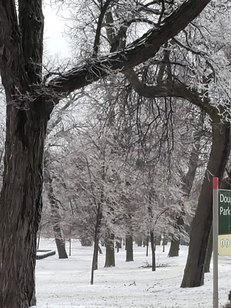 Douglass (Anna & Frederick) Park - Douglass (Anna & Frederick) Park 1401 S Sacramento Dr, Chicago, IL 60623, USA