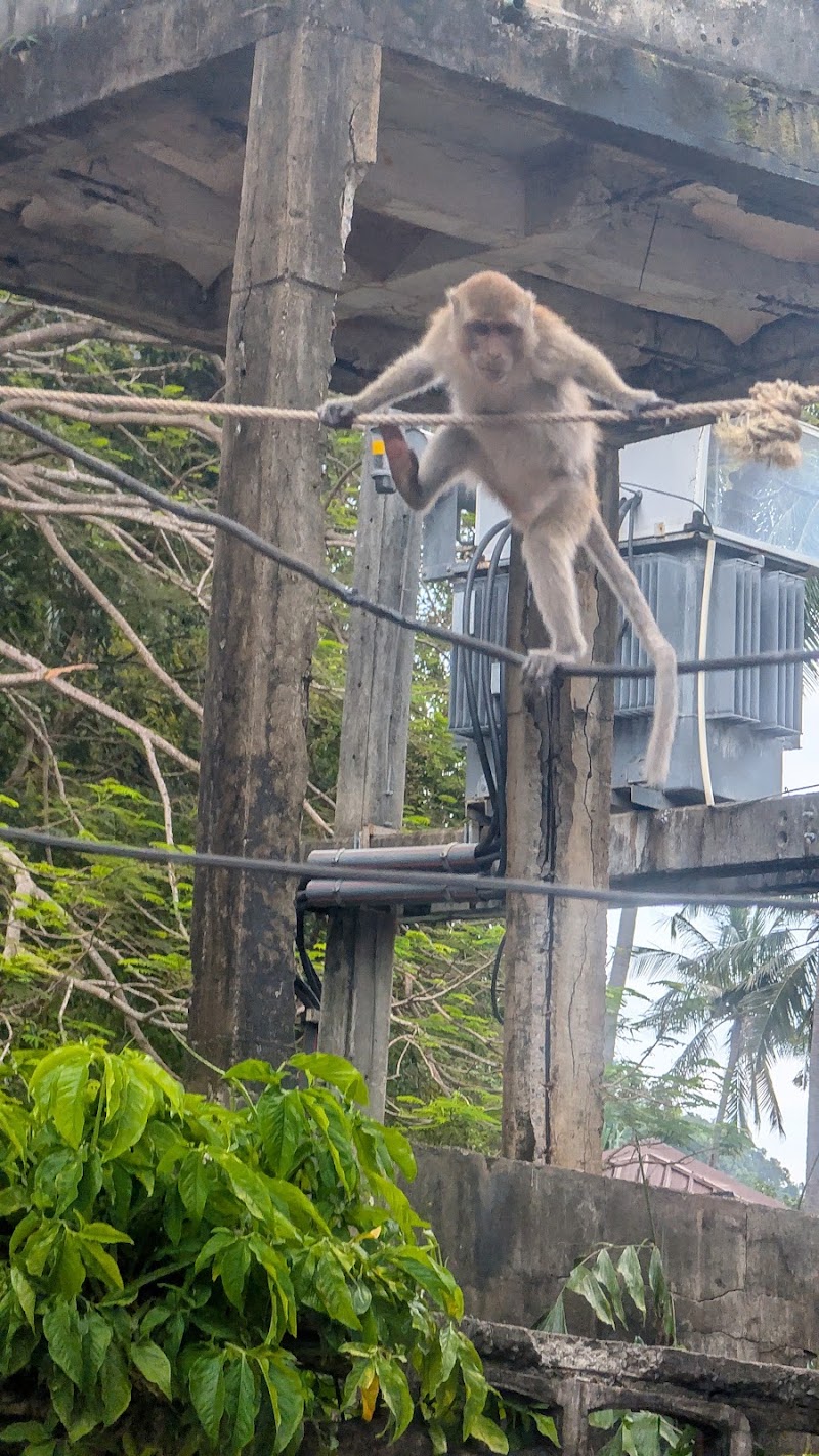 Railay Walking Street - Railay Walking Street 2R6Q+HGW Railay West Beach, Tambon Ao Nang, Amphoe Mueang Krabi, Chang Wat Krabi 81000, Thailand