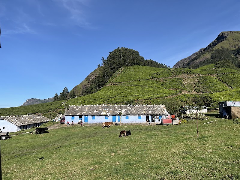 Suryanelli Kolukkumalai Road - Suryanelli Kolukkumalai Road 27C5+WC, Bodi Hill North, Tamil Nadu 685618, India