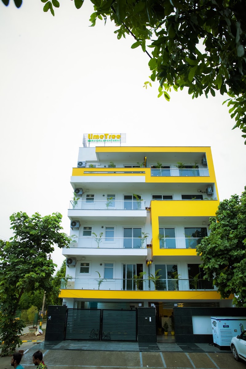 Lime Tree Luxury Studio Serviced Apartments and Restaurant in Gurgaon - Lime Tree Luxury Studio Serviced Apartments and Restaurant in Gurgaon 966P, Near Artemis Hospital, Sector 51 Rd, Sector 51, Gurugram, Haryana 122018, India
