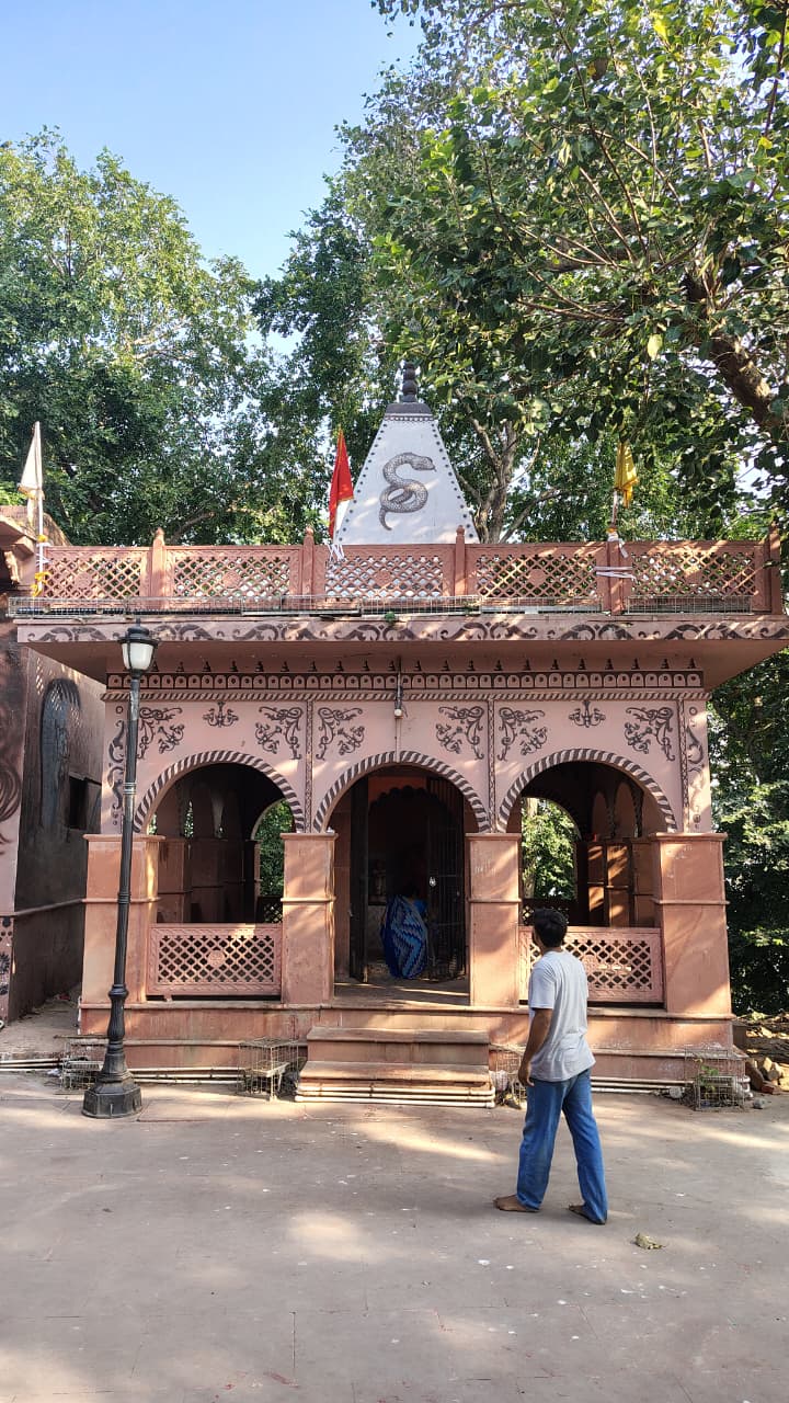 Shri Nagvasuki Mandir - Shri Nagvasuki Mandir Daraganj Ghat, FV4M+RPQ, near by Rameshar Mandir, Daraganj, Prayagraj, Uttar Pradesh 211006, India