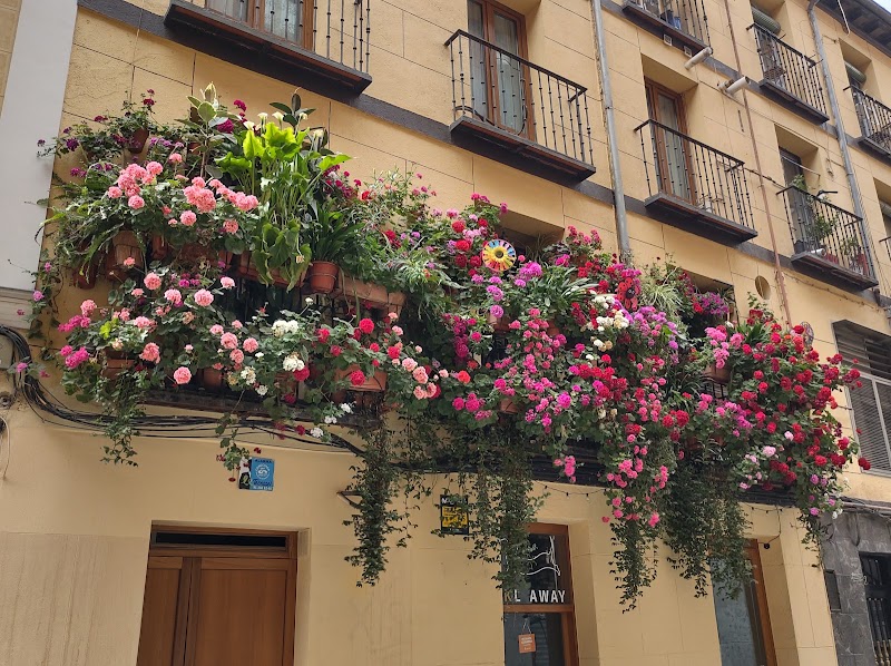 Malasaña - Malasaña Malasaña, Centro, Madrid, Spain