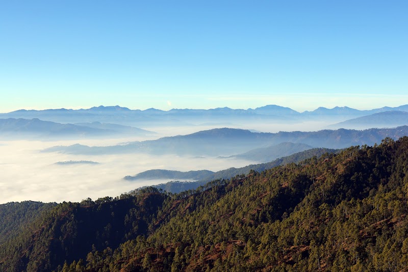 Mary Budden Estate | Luxury Resorts in Binsar, Uttarakhand - Mary Budden Estate | Luxury Resorts in Binsar, Uttarakhand, wildlife sanctuary, Binsar, Regariya, Uttarakhand 263601, India