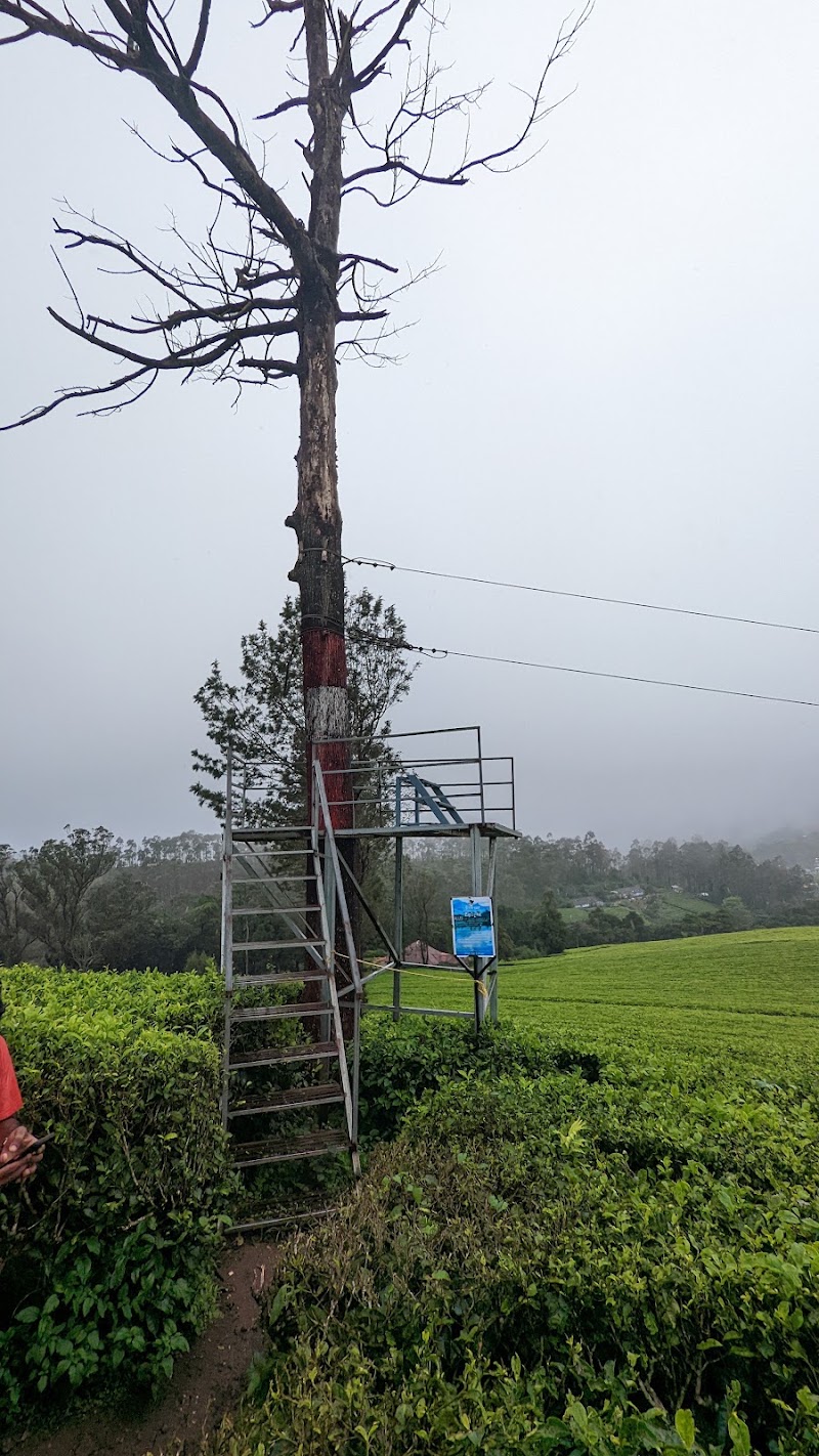 MUNNAR ADVENTURES BASE CAMP - MUNNAR ADVENTURES BASE CAMP, HML tea factory, Road, Suryanelli, Kerala 685618, India
