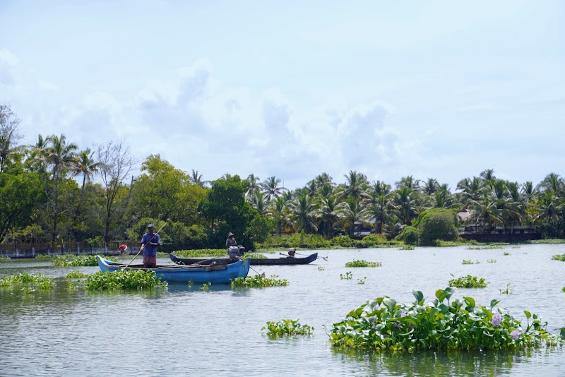 Kerala Holidays Pvt. Ltd. केरल टूर पैकेज - Kerala Holidays Pvt. Ltd. केरल टूर पैकेज, NH Bypass, above Bread World, Thykoodam, Vyttila, Kochi, Kerala 682019, India