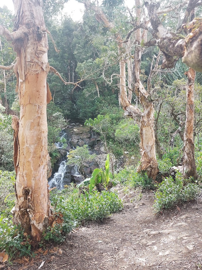 Alexandra Falls - Alexandra Falls, 30 Old Moka Rd, Mauritius