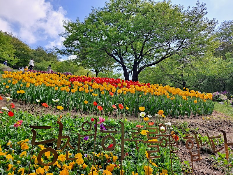 Yeonhui Forest Rest Area - Yeonhui Forest Rest Area Yeonhui-dong, Seodaemun-gu, Seoul, South Korea