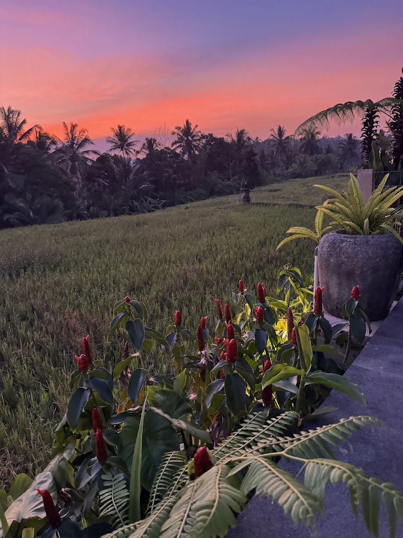 Arira Villa Ubud - Arira Villa Ubud, G7F5+FFH, Jl. Raya Sebali, Keliki, Kec. Tegallalang, Kabupaten Gianyar, Bali 80571, Indonesia