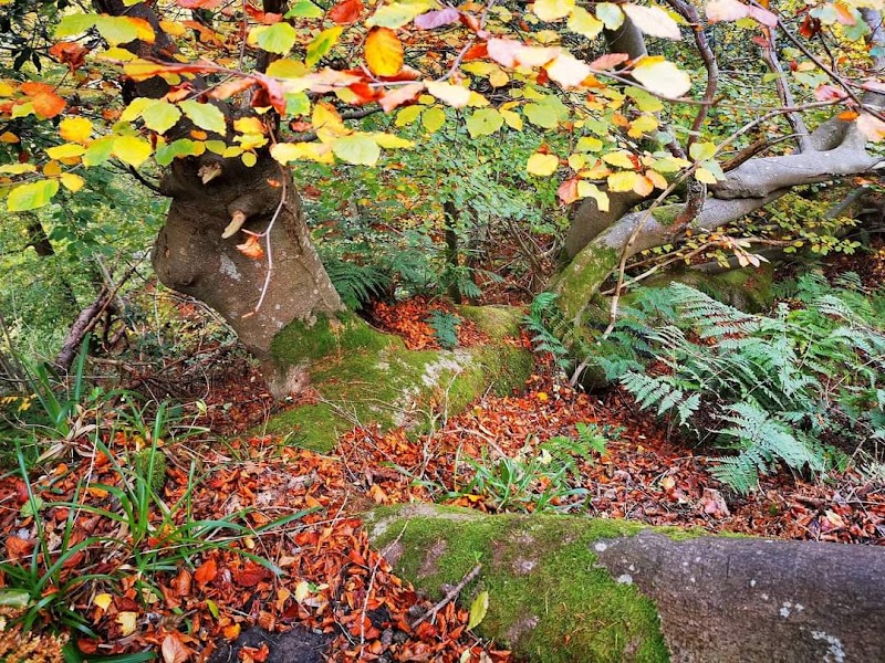 Roslin - Roslin, UK