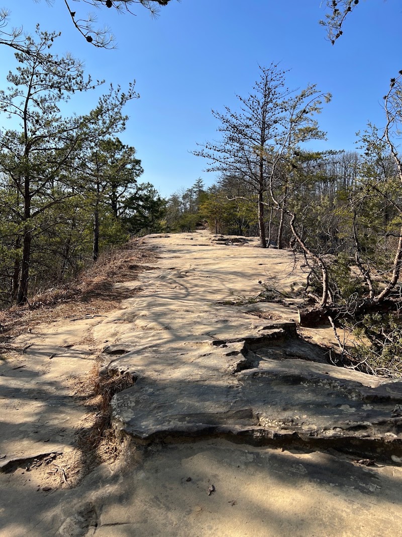 Natural Bridge State Park Woodland Center - Natural Bridge State Park Woodland Center 2135 Natural Bridge Road Slade, 2135 Cottage Rd, Slade, KY 40376, USA
