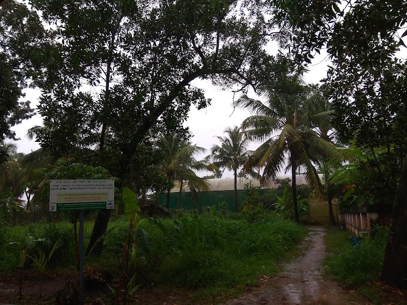 Brothers Of St.Joseph Cottolengo - Brothers Of St.Joseph Cottolengo, W7CM+V4R, Cottolengo Rd, Palluruthy, Kochi, Kerala 682006, India