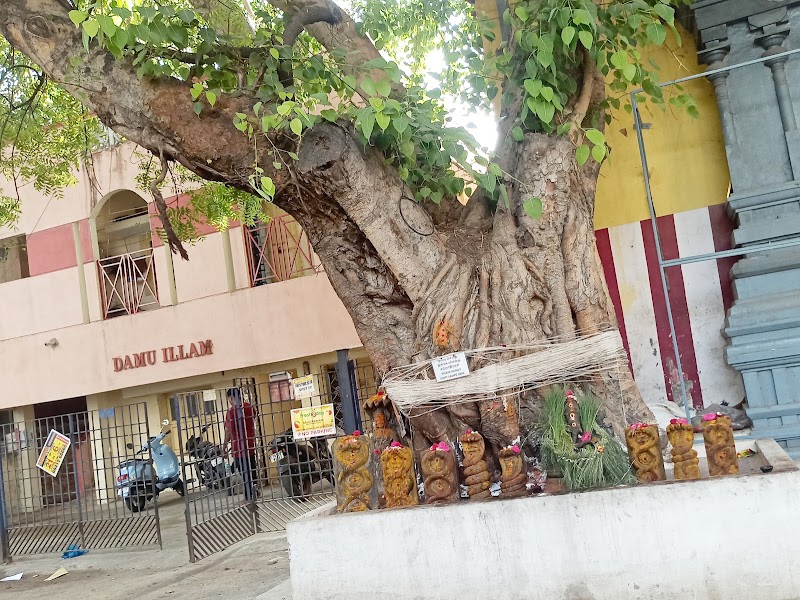 Sri Sankara Narayana Swamy Temple - Sri Sankara Narayana Swamy Temple 3652+MHV, Sri Ramar St, Devaraja Nagar, Nehru Nagar, Saligramam, Chennai, Tamil Nadu 600093, India