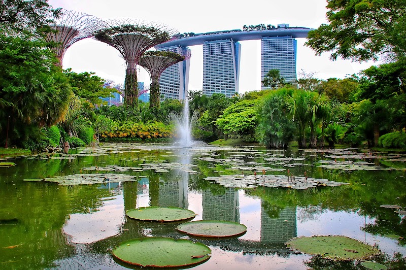 Gardens by the Bay - Gardens by the Bay 18 Marina Gardens Dr, Singapore 018953