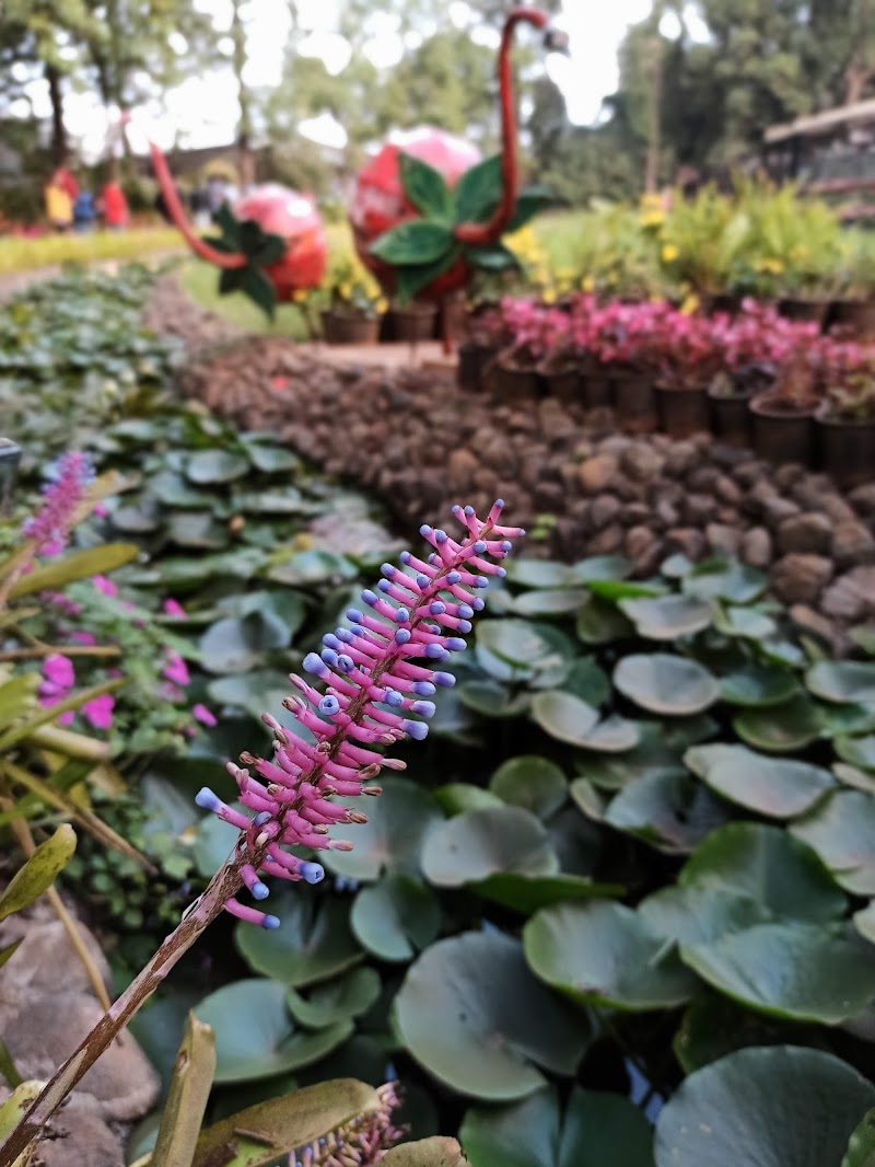 Mapro Garden - Mapro Garden 15/1B, Gureghar, Panchgani - Mahabaleshwar Rd, Mahabaleshwar, Gureghar, Maharashtra 412806, India