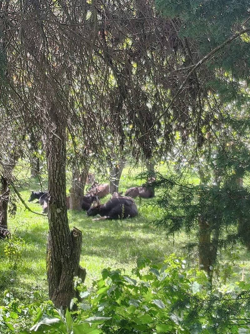 Kurinji Farms - Kurinji Farms 3, Lloyd's Rd, Kodaikanal, Tamil Nadu 624101, India