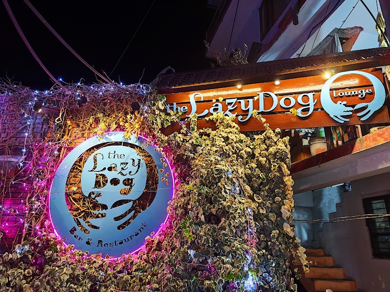 𝗧𝗵𝗲 𝗟𝗮𝘇𝘆 𝗗𝗼𝗴 | Best Restaurant in Manali | Bar & Grill on Manu Temple Road - 𝗧𝗵𝗲 𝗟𝗮𝘇𝘆 𝗗𝗼𝗴 | Best Restaurant in Manali | Bar & Grill on Manu Temple Road Manu Temple Rd, Old Manali, Manali, Himachal Pradesh 175131, India
