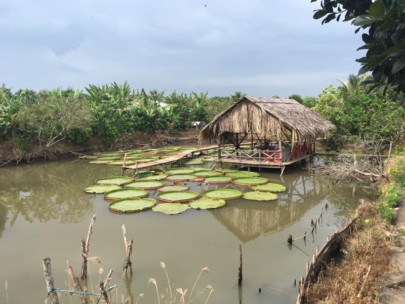 Cồn Sơn - Cồn Sơn, Bình Thủy, Cần Thơ, Vietnam