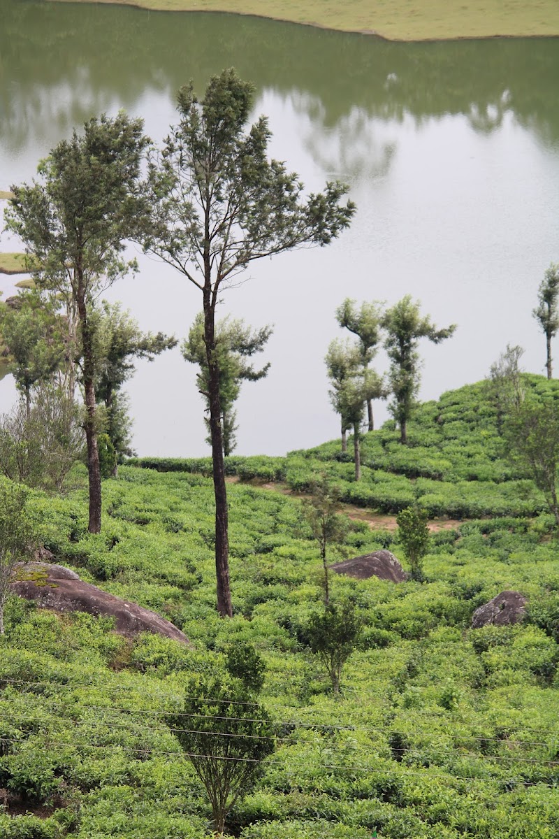 Chinnakanal - Chinnakanal Chinnakanal, Kerala, India