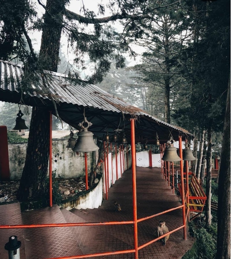 Shree Golu Devata Mandir Uttarakhand - Shree Golu Devata Mandir Uttarakhand, QVWF+354, Kanda - Jethai Rd, Jethai, Uttarakhand 263631, India
