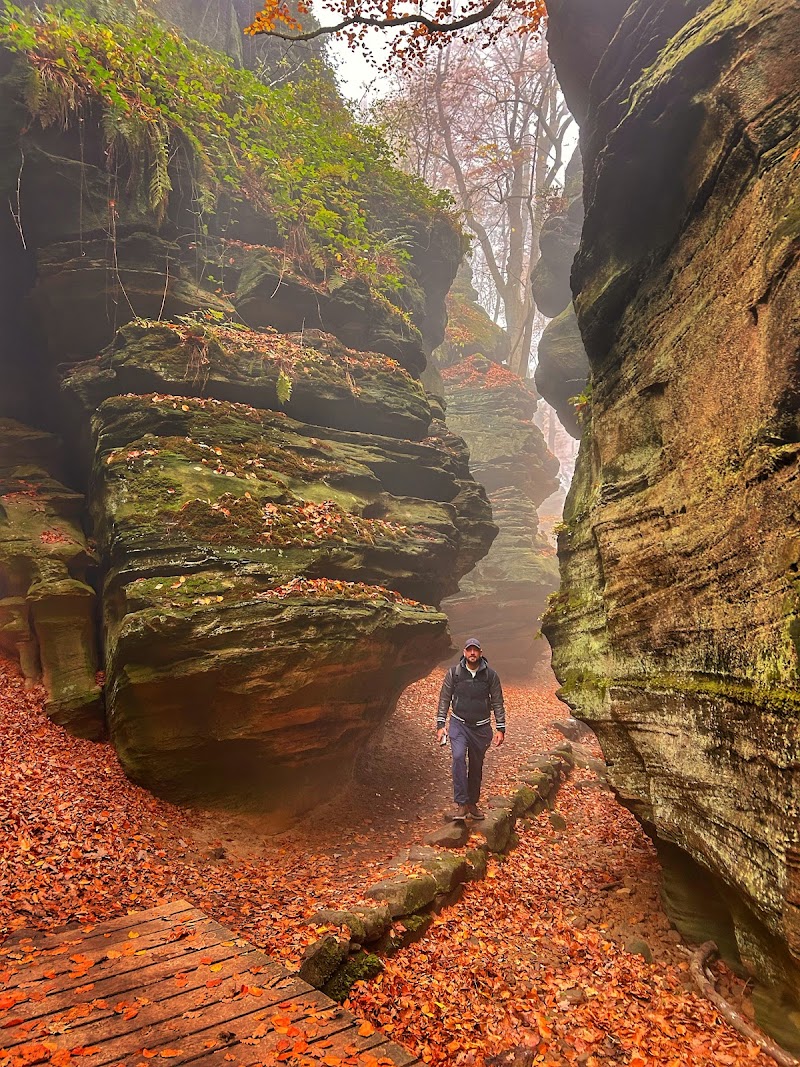 Mullerthal Trail Route 2 - Mullerthal Trail Route 2, Uii in4, Rue des Moulins, 6245 Mullerthal Waldbillig, Luxembourg