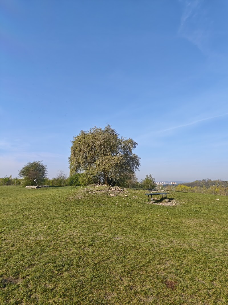 Krakus Mound - Krakus Mound, 30-543 Kraków, Poland