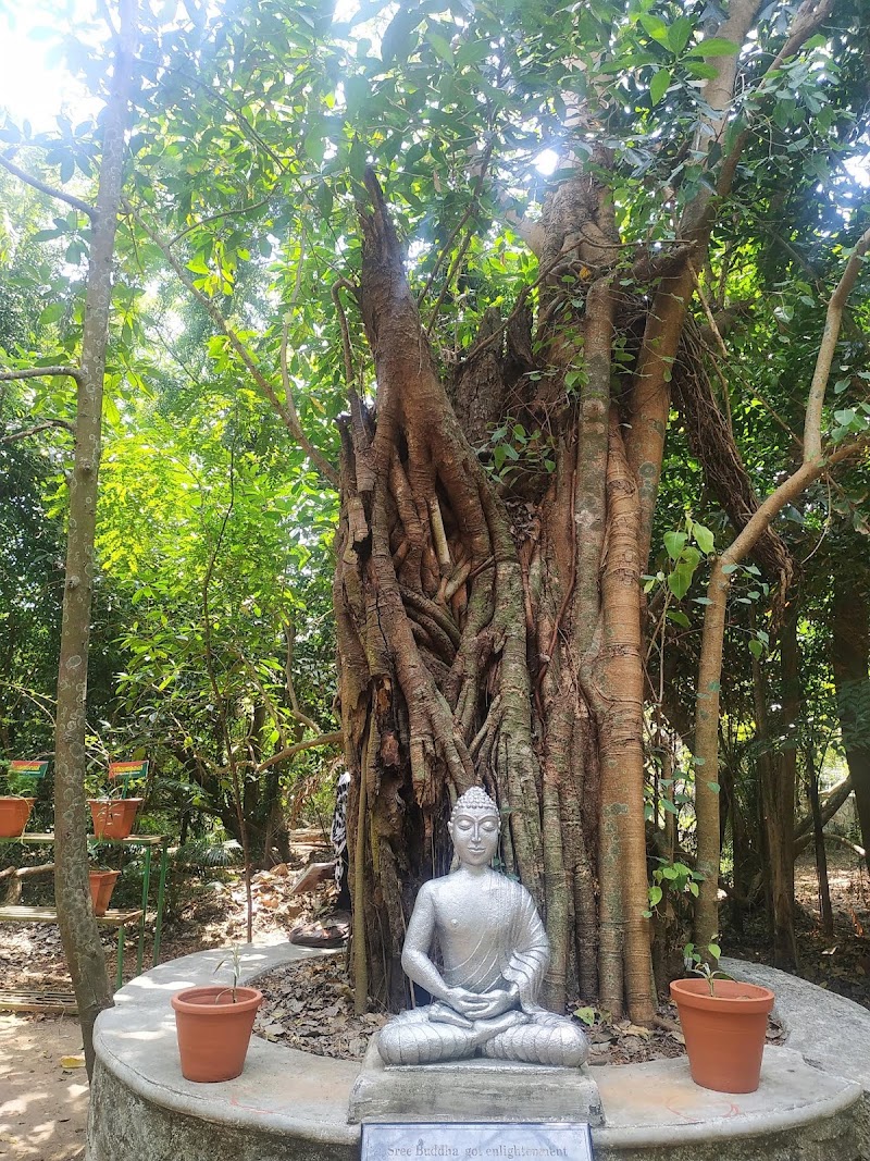 Mangalavanam Bird Sanctuary - Mangalavanam Bird Sanctuary High Ct Rd, Marine Drive, Kochi, Kerala 682018, India