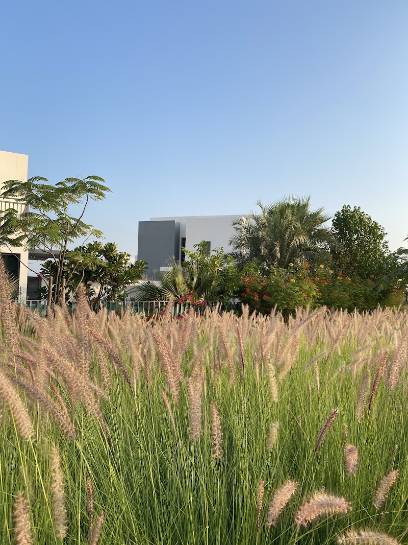 Maple 3 Park - Dubai Hills Estate - Maple 3 Park - Dubai Hills Estate, Unnamed Road - 4734+XGW - حدائق الشيخ محمد بن راشد - دبي - United Arab Emirates