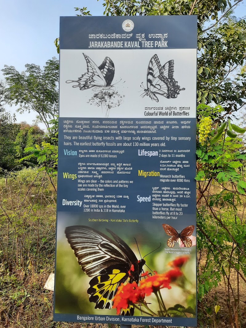 J B Kaval Tree Park - J B Kaval Tree Park 4GGX+2QX, Jarakbandekaval, Karnataka 560119, India