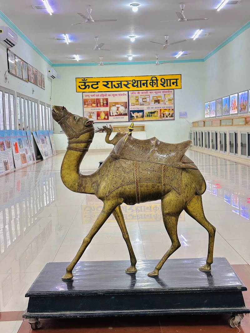 ICAR-National Research Centre on Camel - ICAR-National Research Centre on Camel, Shiv bari Jorbeer, Jodhpur Bypass, Bikaner, Joharbeeri, Rajasthan 334001, India