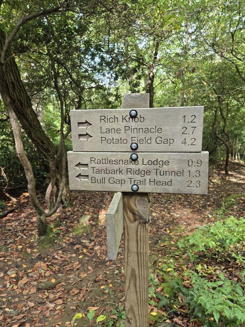 Bull Gap Trailhead - Rattlesnake Lodge Trail - Bull Gap Trailhead - Rattlesnake Lodge Trail 667 State Rd 2109, Weaverville, NC 28787, USA
