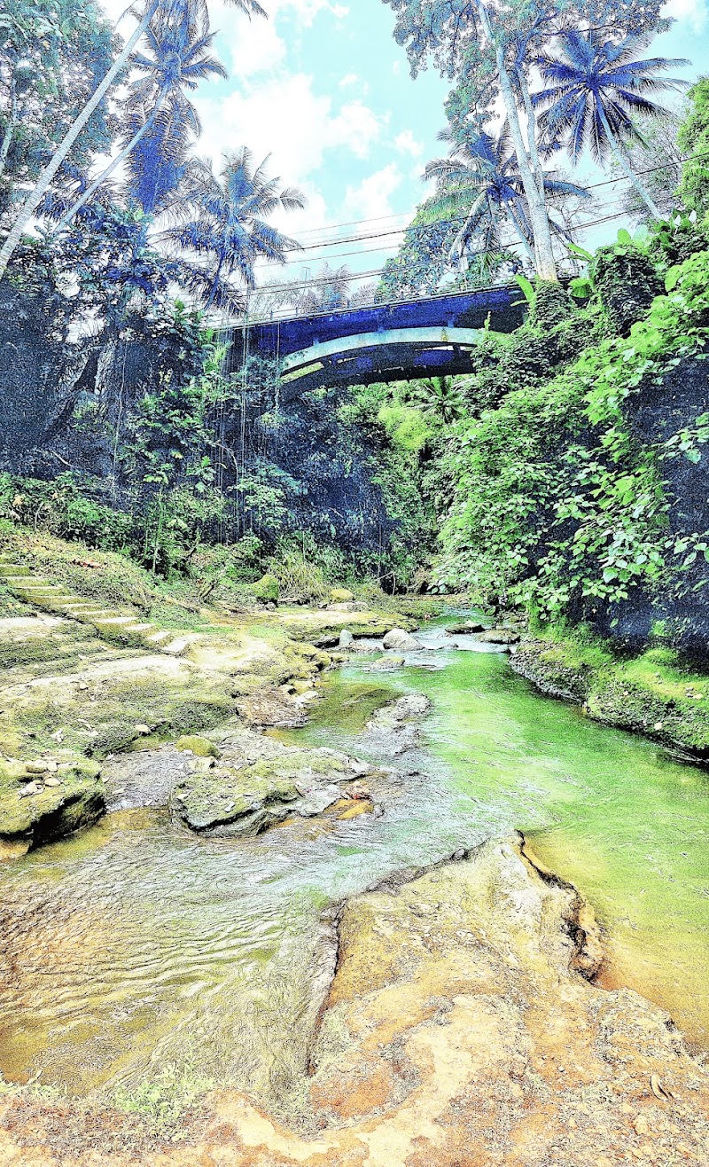 Campuhan Ridge Walk - Campuhan Ridge Walk Jl. Raya Ubud, Kelusa, Kec. Payangan, Kabupaten Gianyar, Bali, Indonesia