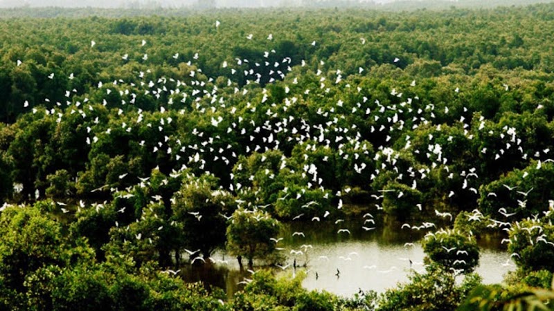 Bang Lang Stork Sanctuary - Bang Lang Stork Sanctuary, 7GJ4+J66, Thot Not, Can Tho, Vietnam