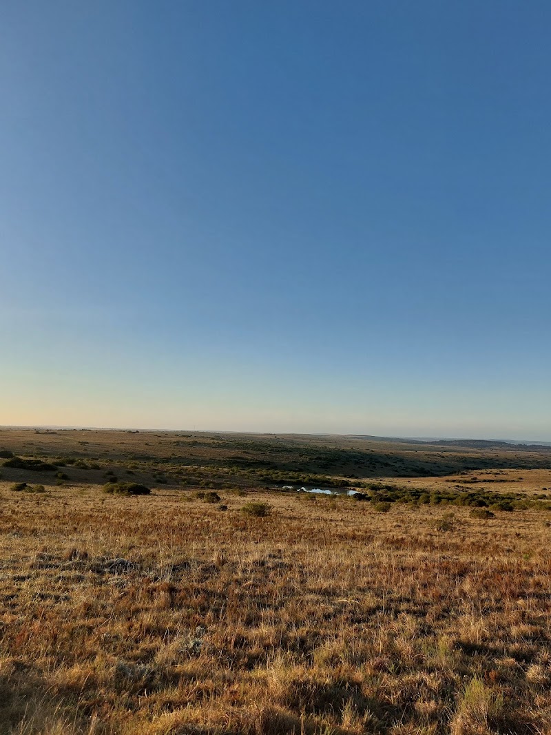 Lalibela Wildlife Reserve - Lalibela Wildlife Reserve, N2 towards Grahamstown 6131 Lalibela Game Reserve, Grahamstown, 6013, South Africa