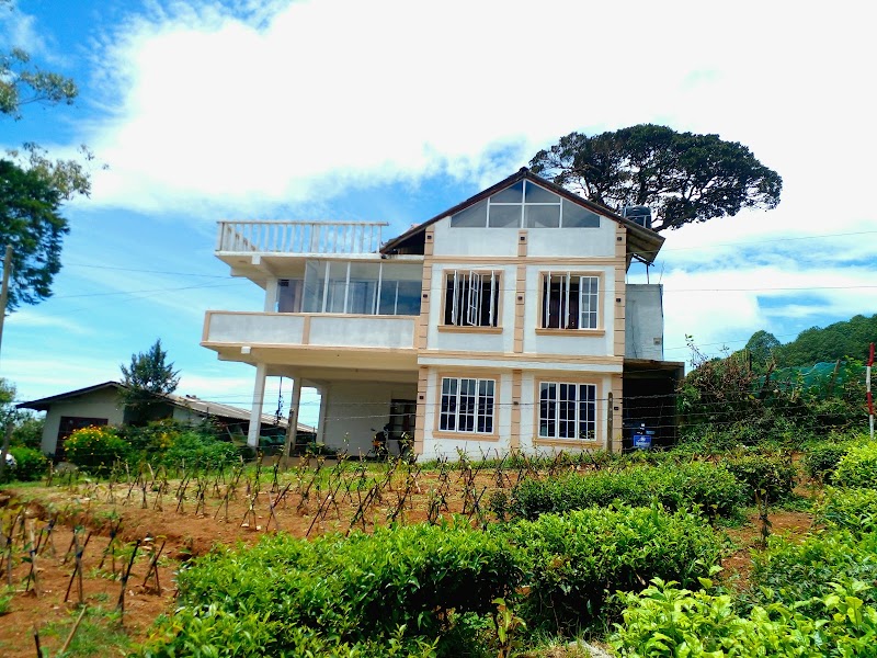 Tea Garden Cottage