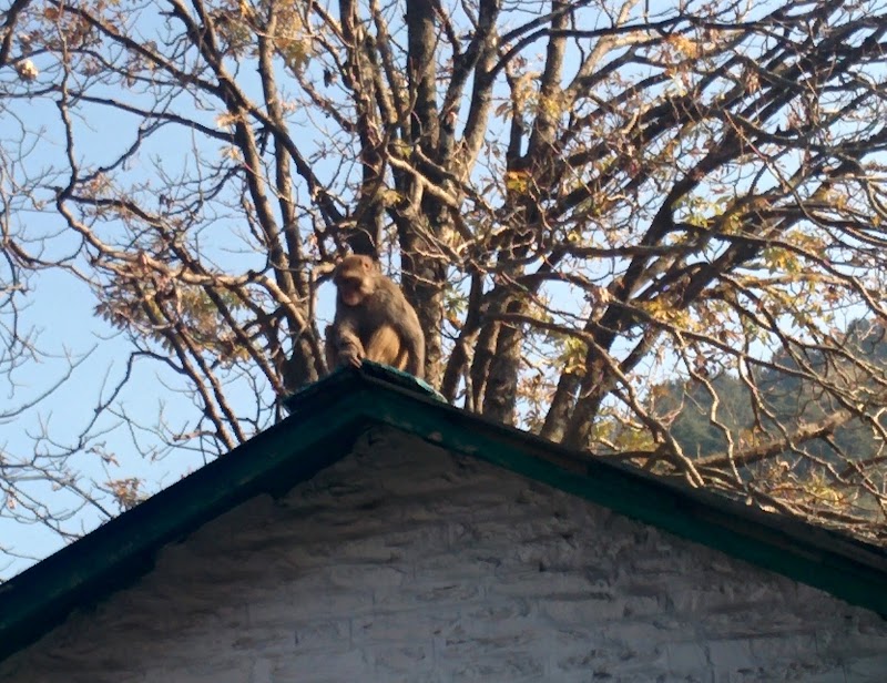 Dalhousie - Dalhousie, H8CX+5W5, Binoy Badal Dinesh Bag S, Lal Dighi, Lal Bazar, Kolkata, West Bengal 700001, India