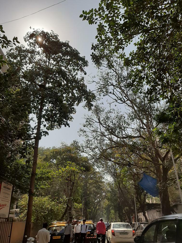 Khau Gali - Khau Gali, Churchgate, Mumbai, Maharashtra 400020, India