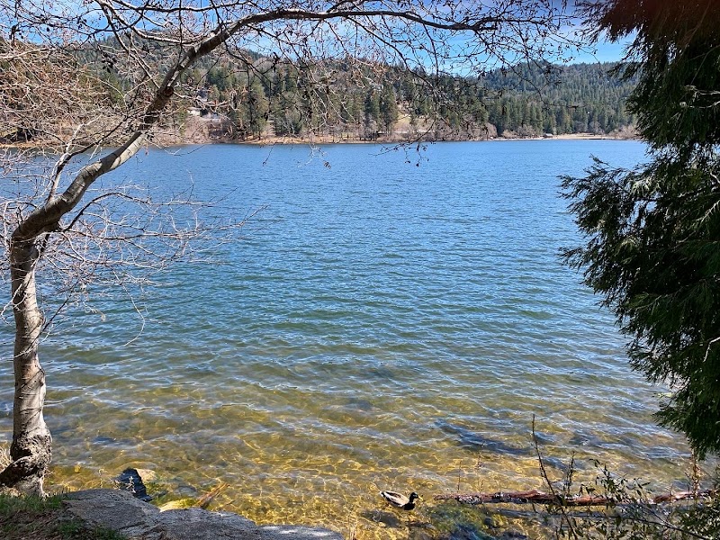 Lake Gregory Regional Park - Lake Gregory Regional Park, 24171 Lake Dr, Crestline, CA 92325, USA