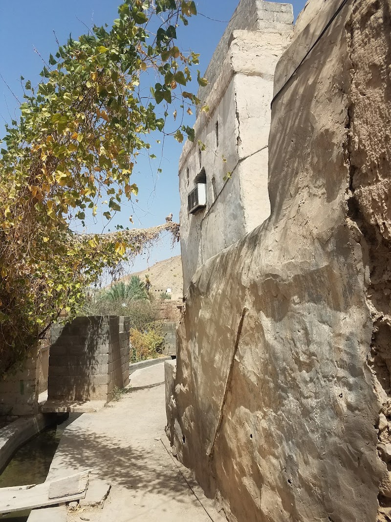 Birkat Al Mouz - Birkat Al Mouz, Oman