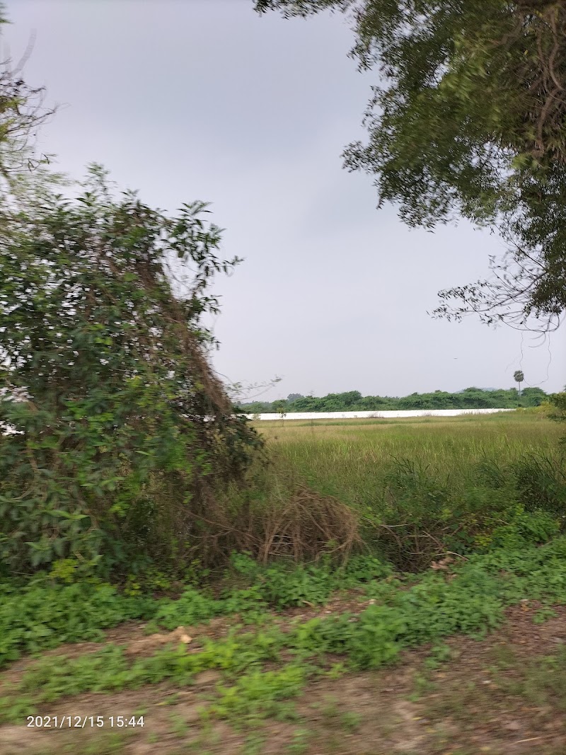 Katpadi Road - Katpadi Road Katpadi Rd, Vellore, Tamil Nadu, India