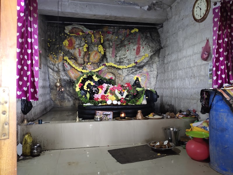 Shri Ranganatha Swamy Temple - Bilikallu Betta - Shri Ranganatha Swamy Temple - Bilikallu Betta QJRF+C79, Hunasekatte, Karnataka 577115, India