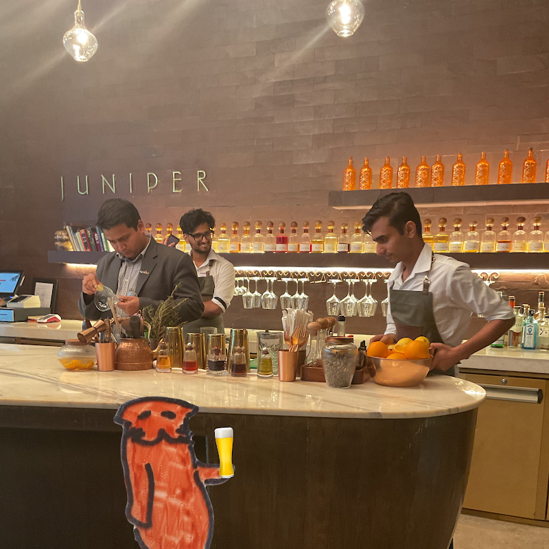 Juniper Bar - Andaz Delhi