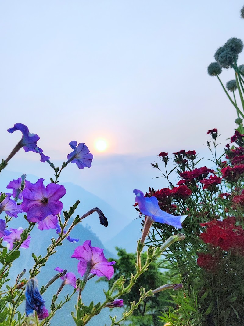 Him Darshan Homestay and resort. - Him Darshan Homestay and resort., Kanyalgaon, Khela, Suwa, Uttarakhand 262545, India