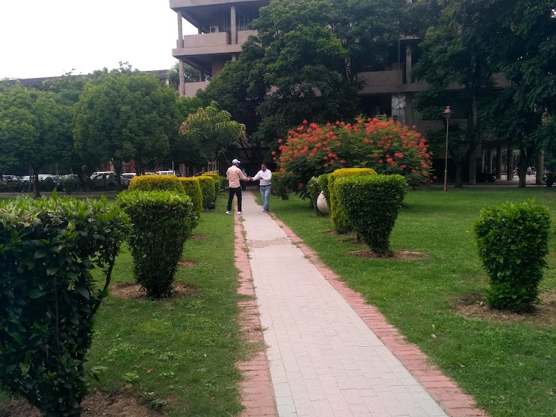 Sector 17 - Sector 17, Chandigarh, India