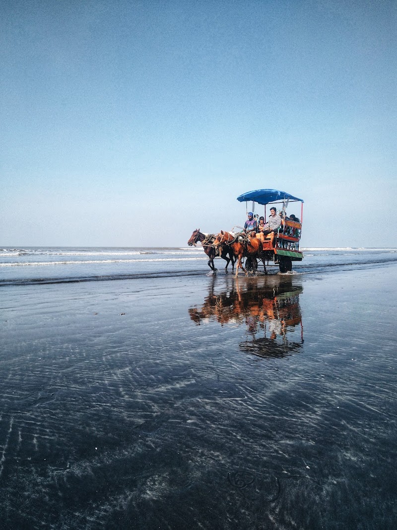 Kelwa Beach - Kelwa Beach, Maharashtra 401401, India