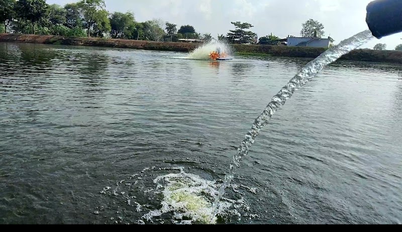 S & S Fish Farm - S & S Fish Farm Selud, Chhattisgarh 491107, India
