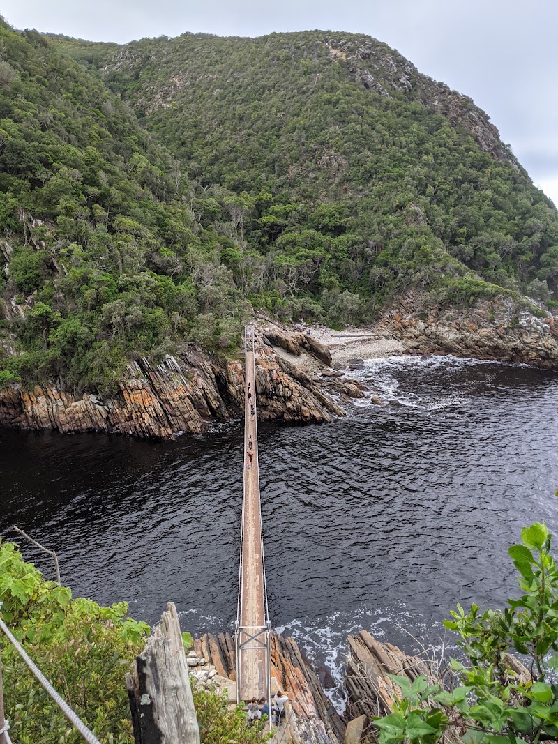 Tsitsikamma - Tsitsikamma, South Africa
