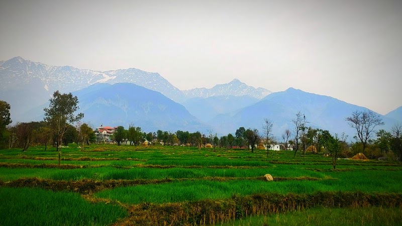 Sheela Chowk - Sheela Chowk, Dharamsala Rd, Dari, Hodal, Himachal Pradesh 176057, India