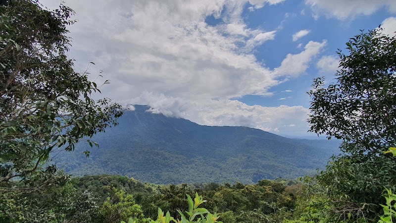 Main View Point