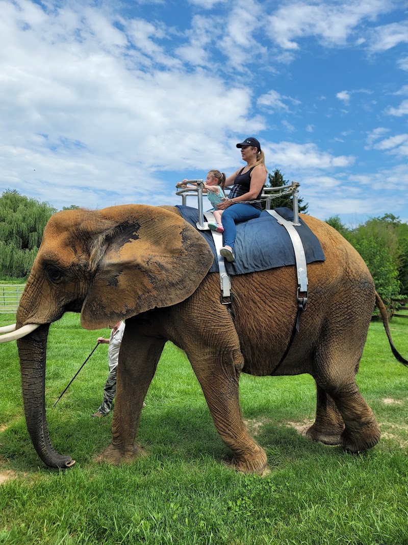 Natural Bridge Zoo