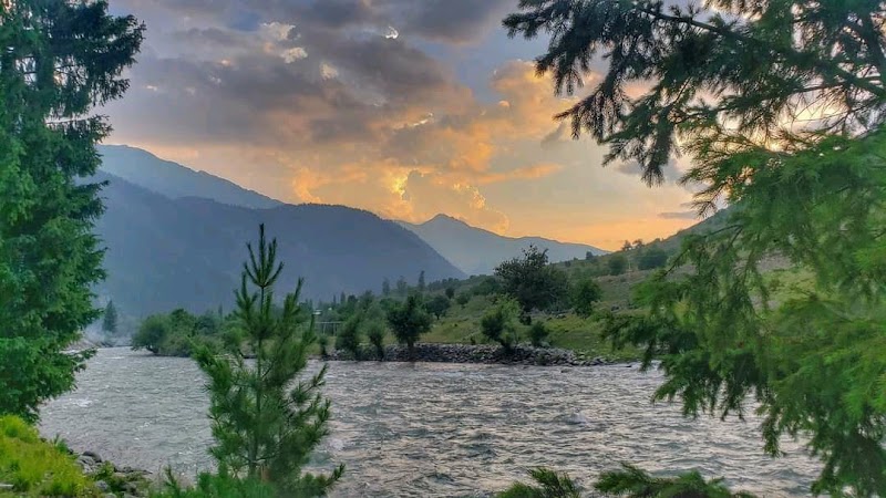 Gurez Valley - Gurez Valley, Forest Block 193503